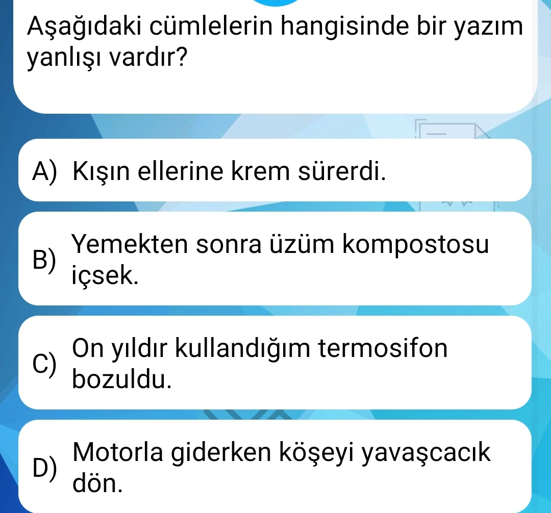 Soru Görseli